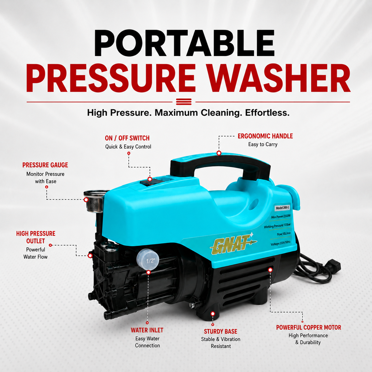 Portable Pressure Washer